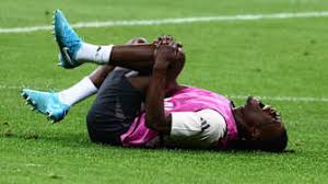 不採摘植物 不採摘植物